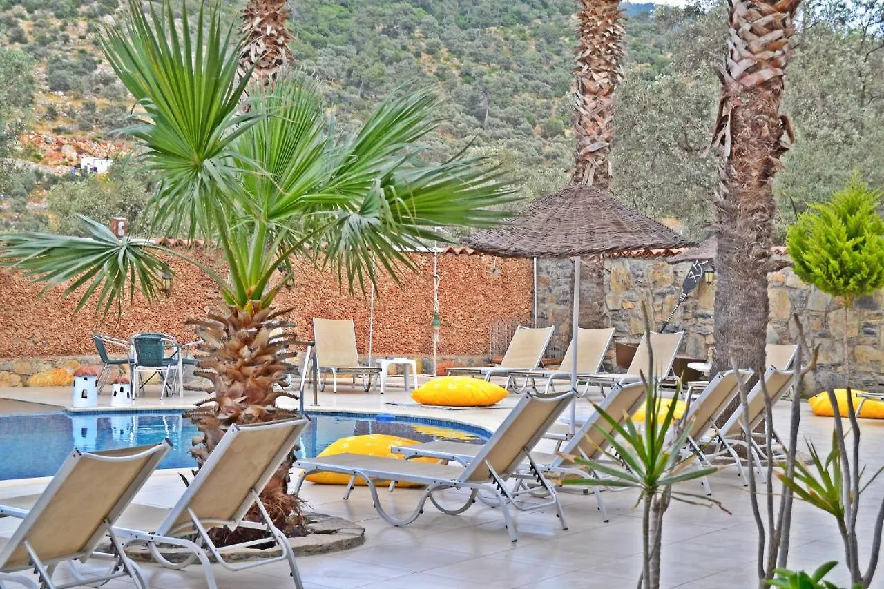 Bodrum Oscar Hotel 2*,  Turkey