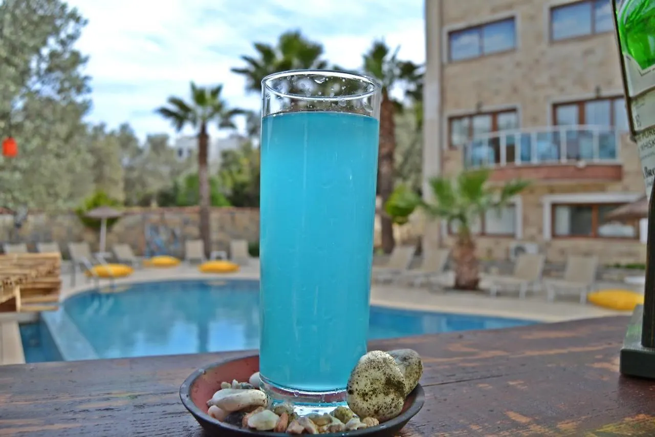 Bed & Breakfast Bodrum Oscar Hotel